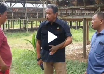 Kunjungi Kabupaten Gorontalo, Komisi ll DPRD Provinsi  Mengantisipasi Kelangkaan Telur Ayam