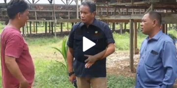 Kunjungi Kabupaten Gorontalo, Komisi ll DPRD Provinsi  Mengantisipasi Kelangkaan Telur Ayam