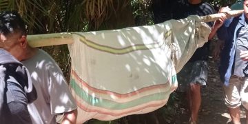 Breking News: 6 Warga Dikabar Meninggal Tertimpa Pohon