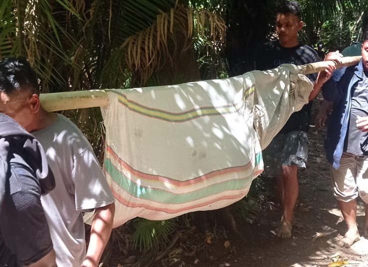 Breking News: 6 Warga Dikabar Meninggal Tertimpa Pohon