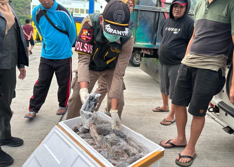 Karantina Gorontalo Tahan Puluhan Daging Tikus, Kelelawar dan Musang
