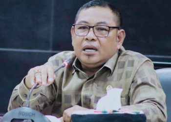 Bantuan Modal Usaha UMKM Minim Dari Pemprov, Mendapat Kritikan Keras dari Limonu Hippy