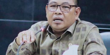 Bantuan Modal Usaha UMKM Minim Dari Pemprov, Mendapat Kritikan Keras dari Limonu Hippy