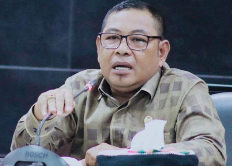 Bantuan Modal Usaha UMKM Minim Dari Pemprov, Mendapat Kritikan Keras dari Limonu Hippy