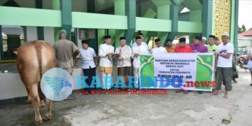 Presiden RI Serahkan Sapi Kurban untuk Pohuwato, Bupati Saipul Mbuinga Wakili Penyerahan di Masjid Jami An-Nur