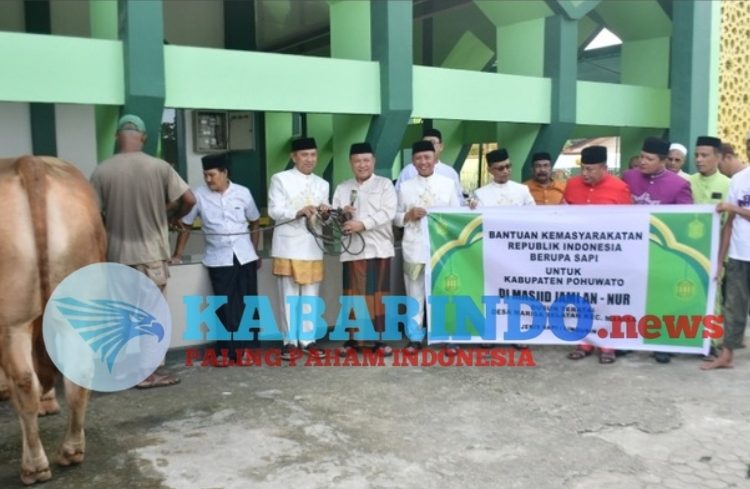 Presiden RI Serahkan Sapi Kurban untuk Pohuwato, Bupati Saipul Mbuinga Wakili Penyerahan di Masjid Jami An-Nur