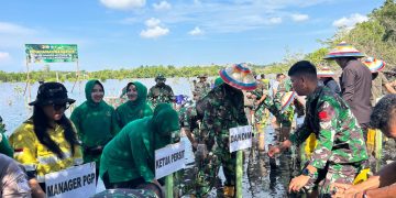 Kerja Bakti TNI dalam Pelestarian Ekosistem Mangrove di Pohuwato